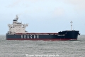 Seacon Antwerp OS-250625-03.jpg