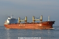Seahorse JG-270325-2.jpg