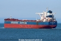 Shandong Development TL-230325-4.jpg