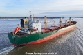 Shoveler KH-280125-7.jpg
