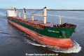 Shoveler KH-280125-6.jpg