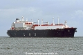 Flex Artemis JG-230826-2.jpg