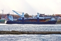 Deo Volente TJ-050915-007.jpg