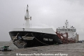 Fionia Swan JG-070911.jpg