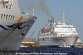 Delphin (090508-09).jpg
