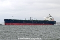 Lancing OS-240625-09.jpg