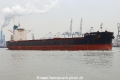 Wisdom of the Sea 1 TL-200322-3.jpg