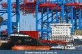 Elbsailor 010818-02.jpg