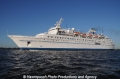 Delphin (100508-10).jpg