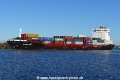 Elbsailor (OK-150117-0).jpg
