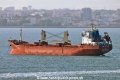 Grona Vulture TL-170626-1.jpg