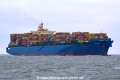 Fortunate HK-250616.jpg