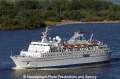 Delphin (050507-06).jpg