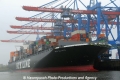 NYK Altair 311010-01.jpg