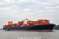Houston Express (KB-D230325-12).jpg