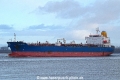 Star Osprey KH-020125-3.jpg