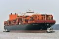 Houston Express (KB-D230325-04).jpg