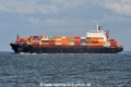 Spartel Trader JG-060625-2.jpg