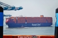 Wilhelmshaven Express MSchi-250925-4.jpg