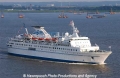 Delphin (100701-1).jpg