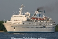 Delphin (AW-010509-05).jpg