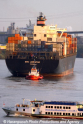 NYK Lodestar (190803-21).jpg