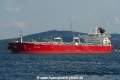 STI Rose (OK-240821-2).jpg