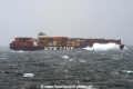 NYK Orpheus 170711-09.jpg