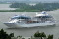 Delphin Renaissance (040703-09).jpg