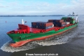 Elbsummer KH-210123-5.jpg