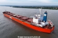 Synthesea KH-020525-11.jpg