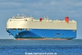 Swan Ace (KK-190625-1).jpg