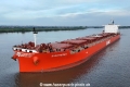 Synthesea KH-020525-01.jpg