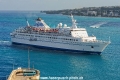 Delphin 140410-06.jpg
