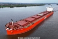 Synthesea KH-020525-05.jpg