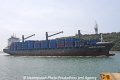 Hammonia Teutonica OS-270212-09.jpg