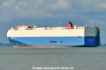 Swan Ace (KK-190625-4).jpg