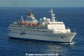 Delphin 140410-03.jpg