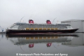 Disney Dream (LW-AT-011110-01).jpg