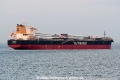 Ultra Margay JG-190725-4.jpg