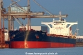 Tomini K2 TL-230325-1.jpg