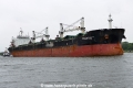 Toxotis (OK-270525-0).jpg