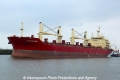 Federal Sable (OK-210313-4).jpg