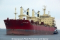Federal Sable (OK-210313-2).jpg