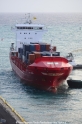 JRS Canis 301113-04.jpg