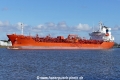 Trans Tind (OK-290325-0).jpg