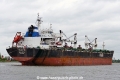 Toxotis (OK-270525-4).jpg