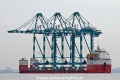 Hua Sheng Long OS-221025-06.jpg