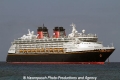 Disney Magic OA-270110-02.jpg