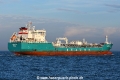 Golden Palm JG-300926-3.jpg